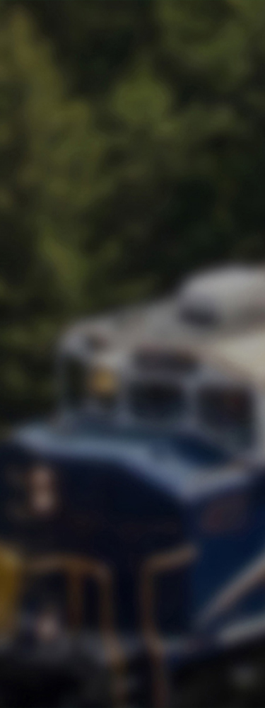 banner image